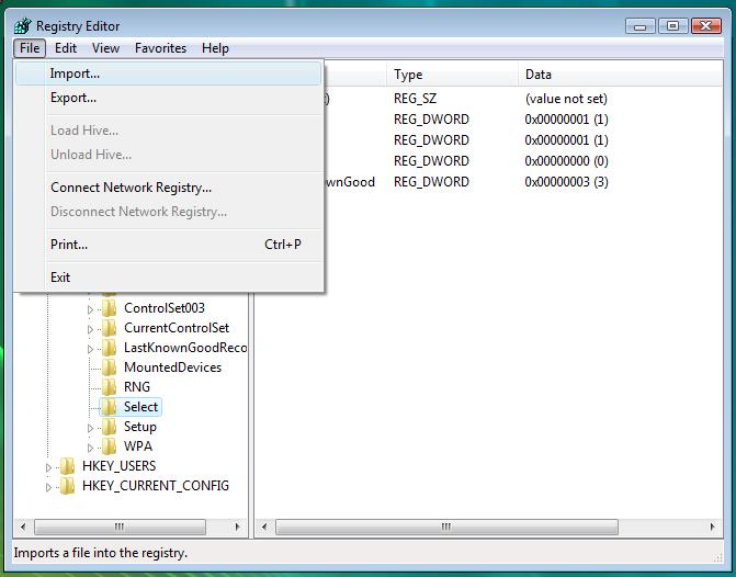 Import a Registry Key