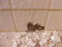 Replace Shower Tile