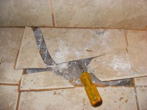 Twelve Inch Ceramic Tile Replacement